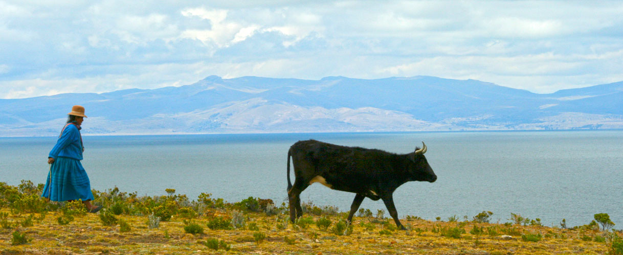 From Altiplano to Amazonia