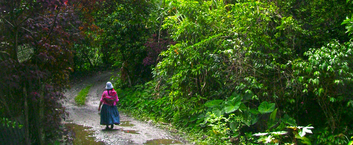 Turismo en Los Yungas (Coroico)