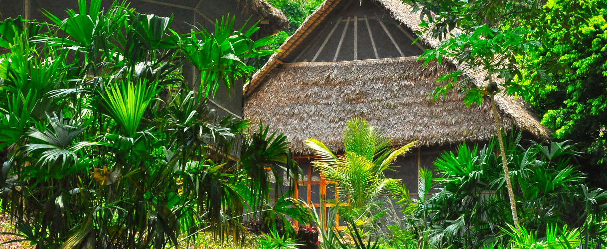 Parque Madidi