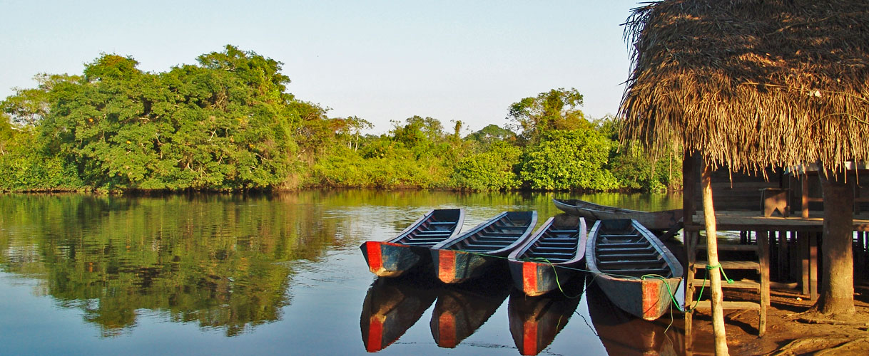 Aventura na floresta amazônica