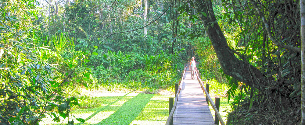 Aventura en la selva amazónica