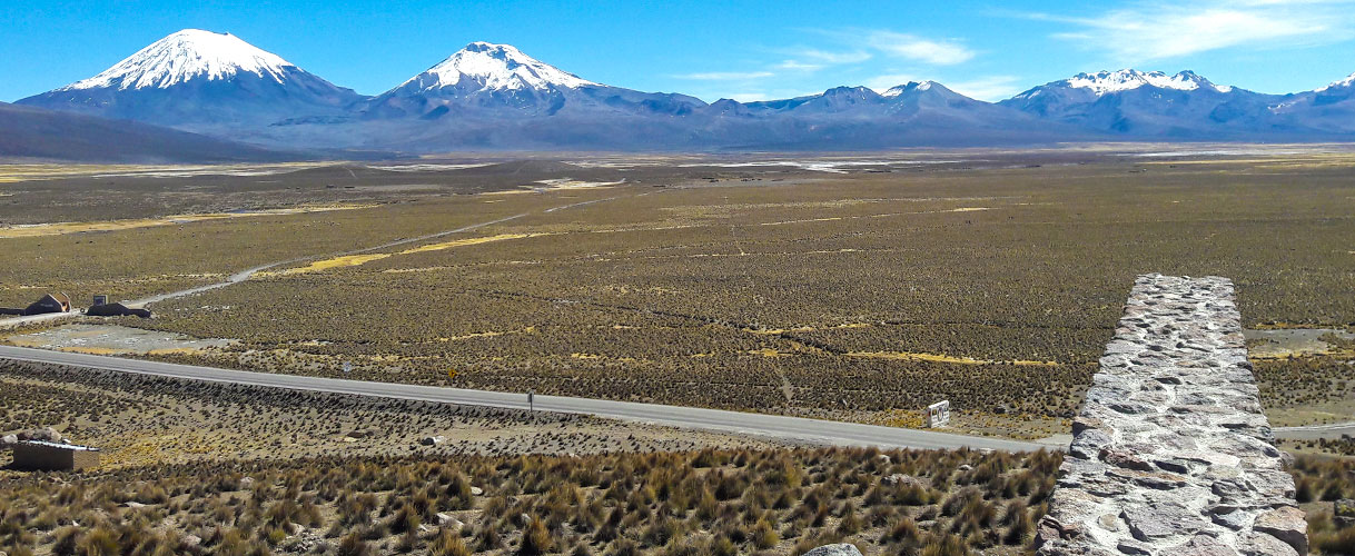 Parque Sajama