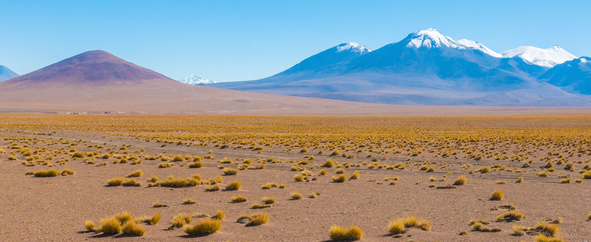 Sajama Park Tours