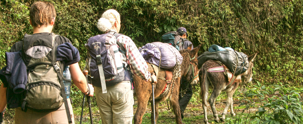 Trekking y montañismo