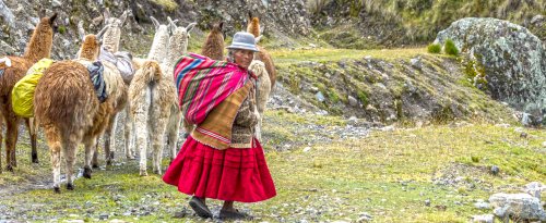 Convivencia con comunidades