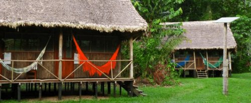 Forêt amazonienne, Parc Madidi